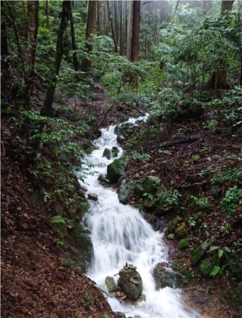 龍神の沢について
